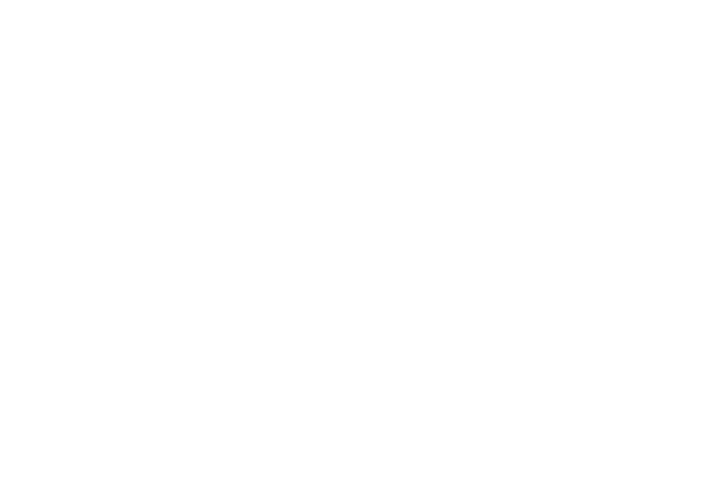 Sunu Conducteur BRT